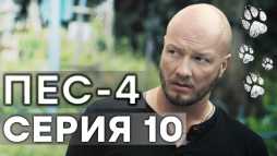 ПЕС (4 сезон, 10 серия) (Эфир 06.11.18)